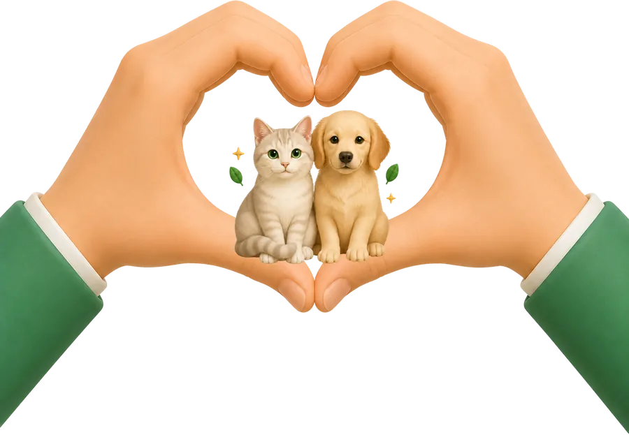 Kalp şeklindeki ellerin içinde bir kedi ve bir köpek